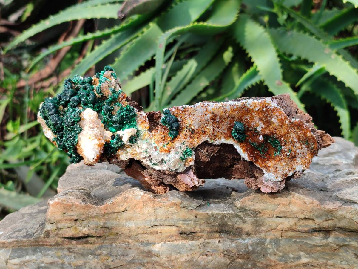 Natural Crystalline Ball Malachite and Quartz On Dolomite Matrix Specimens x 2 From Mindingi Mine, Kambove, Congo - Toprock Gemstones and Minerals 