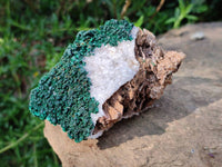 Natural Crystalline Ball Malachite and Quartz On Dolomite Matrix Specimens x 2 From Mindingi Mine, Kambove, Congo