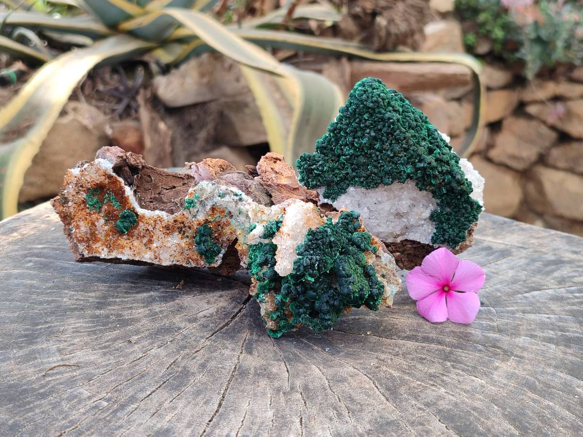 Natural Crystalline Ball Malachite and Quartz On Dolomite Matrix Specimens x 2 From Mindingi Mine, Kambove, Congo - Toprock Gemstones and Minerals 