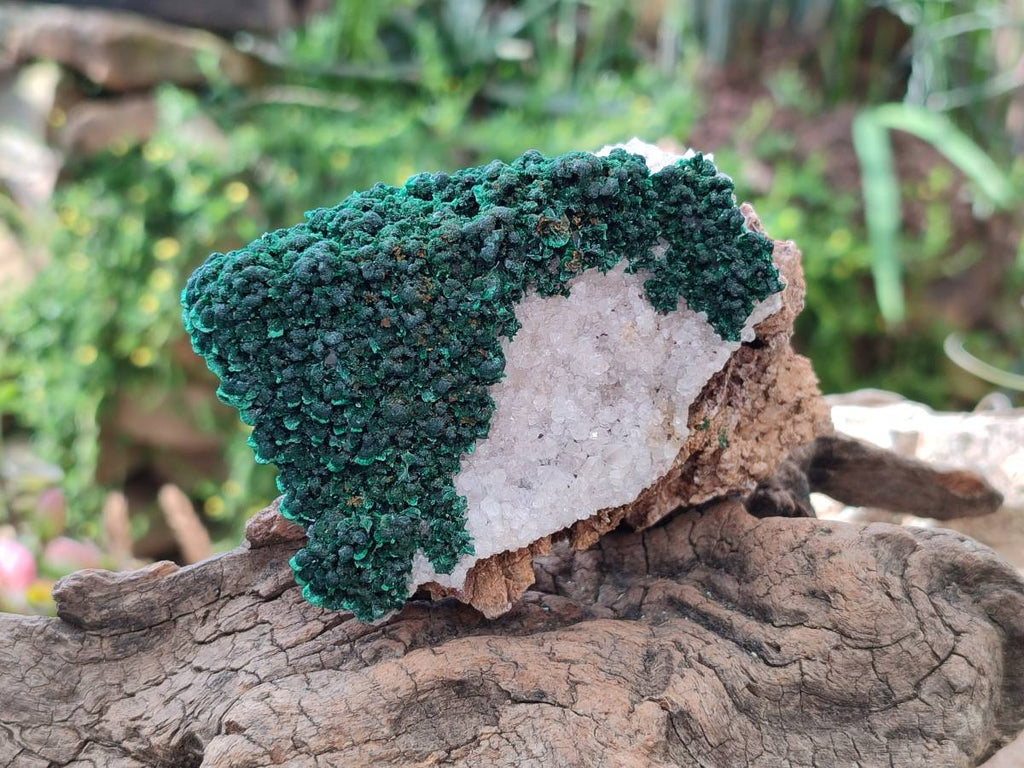 Natural Crystalline Ball Malachite and Quartz On Dolomite Matrix Specimens x 2 From Mindingi Mine, Kambove, Congo - Toprock Gemstones and Minerals 