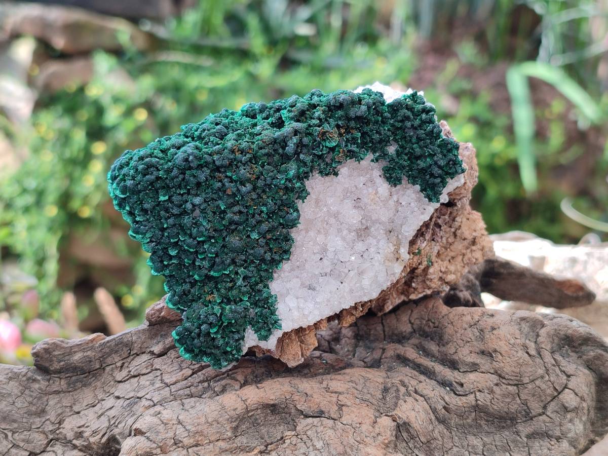 Natural Crystalline Ball Malachite and Quartz On Dolomite Matrix Specimens x 2 From Mindingi Mine, Kambove, Congo - Toprock Gemstones and Minerals 