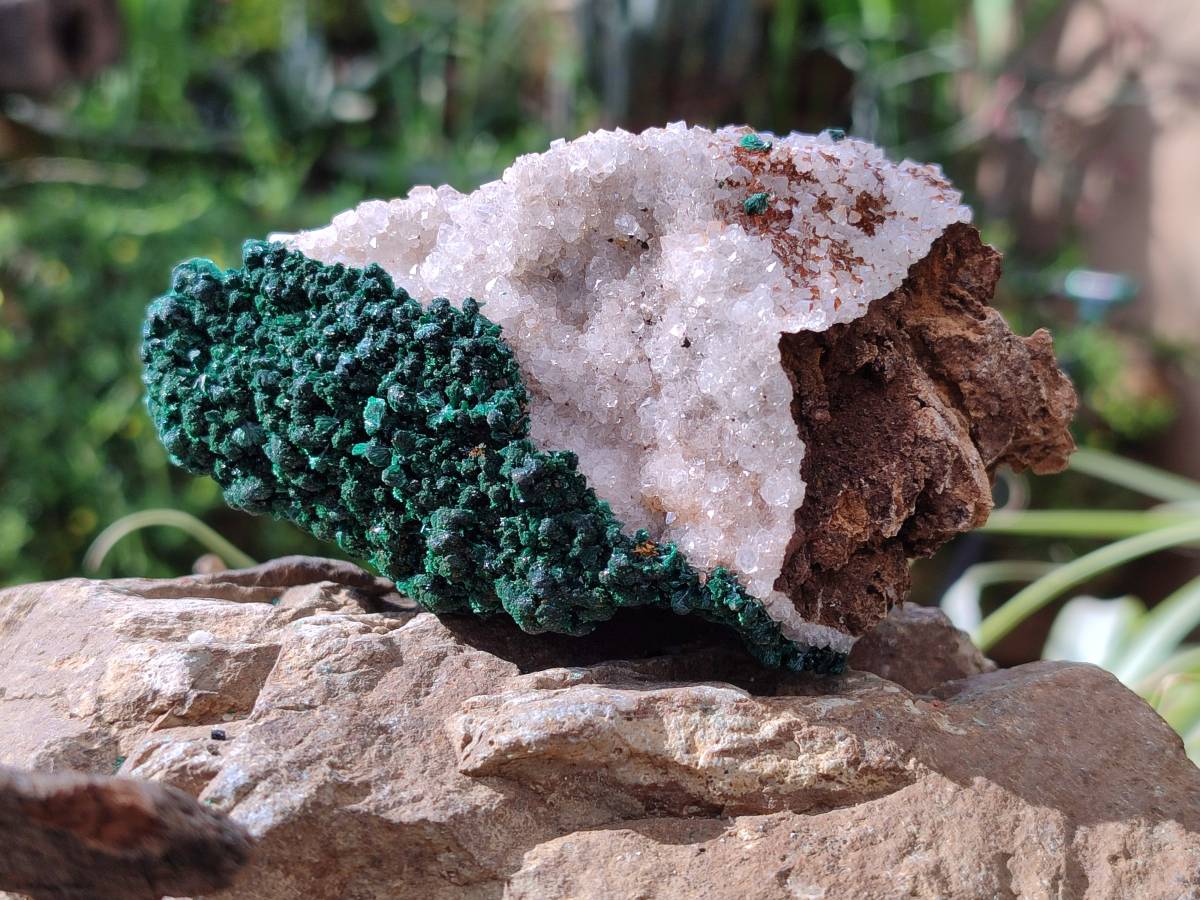 Natural Crystalline Ball Malachite and Quartz On Dolomite Matrix Specimens x 2 From Mindingi Mine, Kambove, Congo - Toprock Gemstones and Minerals 