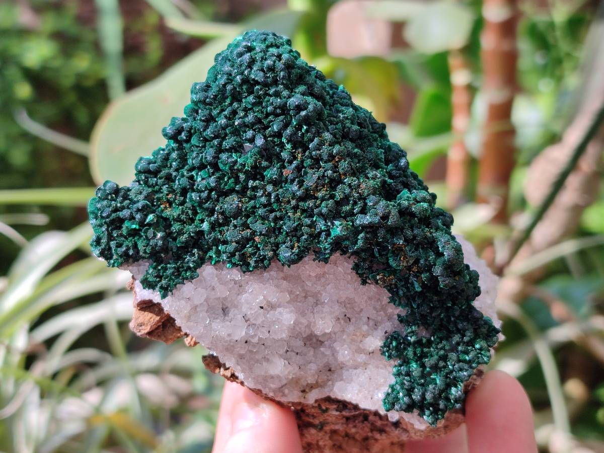 Natural Crystalline Ball Malachite and Quartz On Dolomite Matrix Specimens x 2 From Mindingi Mine, Kambove, Congo - Toprock Gemstones and Minerals 