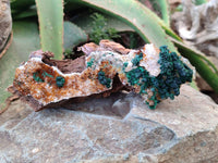 Natural Crystalline Ball Malachite and Quartz On Dolomite Matrix Specimens x 2 From Mindingi Mine, Kambove, Congo