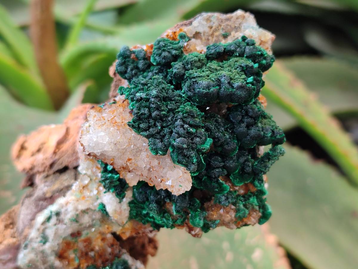 Natural Crystalline Ball Malachite and Quartz On Dolomite Matrix Specimens x 2 From Mindingi Mine, Kambove, Congo - Toprock Gemstones and Minerals 