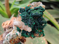 Natural Crystalline Ball Malachite and Quartz On Dolomite Matrix Specimens x 2 From Mindingi Mine, Kambove, Congo