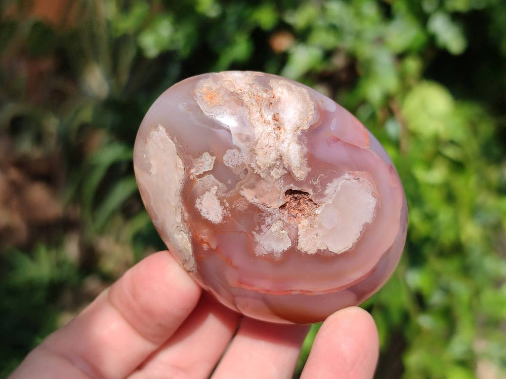 Polished Flower Agate Palm Stones x 12 From Antsahalova, Madagascar - Toprock Gemstones and Minerals 