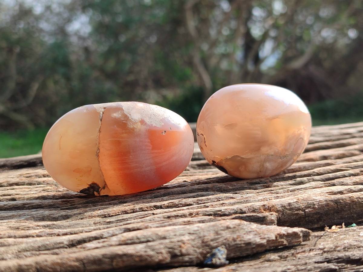 Polished Flower Agate Palm Stones x 12 From Antsahalova, Madagascar - Toprock Gemstones and Minerals 