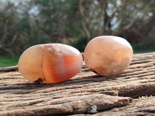 Polished Flower Agate Palm Stones x 12 From Antsahalova, Madagascar - Toprock Gemstones and Minerals 