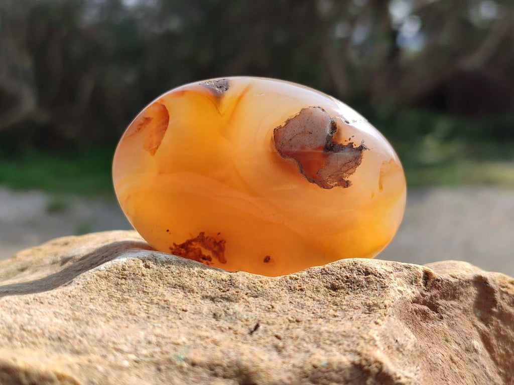 Polished Flower Agate Palm Stones x 12 From Antsahalova, Madagascar - Toprock Gemstones and Minerals 