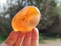 Polished Flower Agate Palm Stones x 12 From Antsahalova, Madagascar