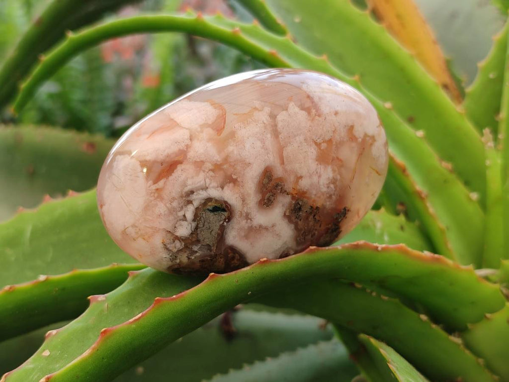Polished Flower Agate Palm Stones x 12 From Antsahalova, Madagascar - Toprock Gemstones and Minerals 