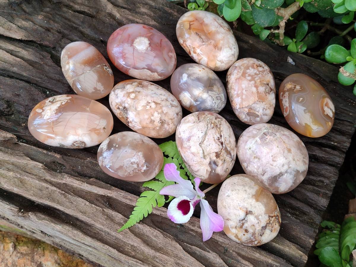 Polished Flower Agate Palm Stones x 12 From Antsahalova, Madagascar - Toprock Gemstones and Minerals 