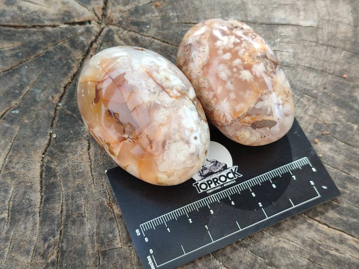 Polished Flower Agate Palm Stones x 12 From Antsahalova, Madagascar - Toprock Gemstones and Minerals 