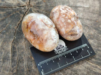 Polished Flower Agate Palm Stones x 12 From Antsahalova, Madagascar