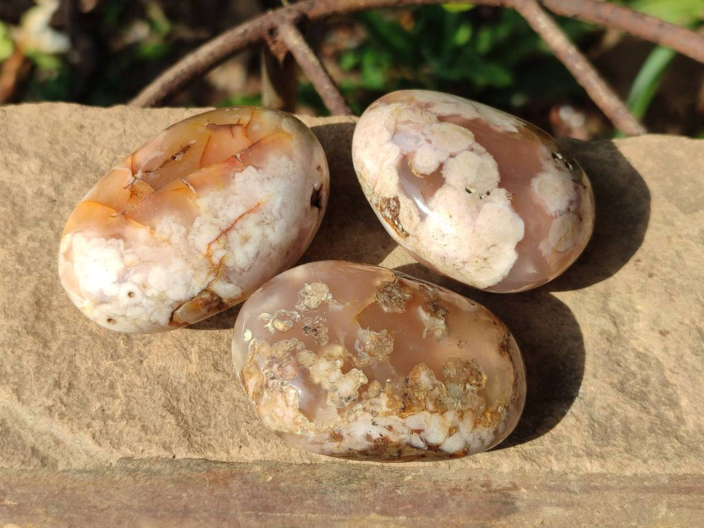 Polished Flower Agate Palm Stones x 12 From Antsahalova, Madagascar - Toprock Gemstones and Minerals 