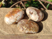 Polished Flower Agate Palm Stones x 12 From Antsahalova, Madagascar