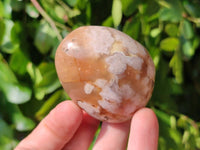 Polished Flower Agate Palm Stones x 12 From Antsahalova, Madagascar