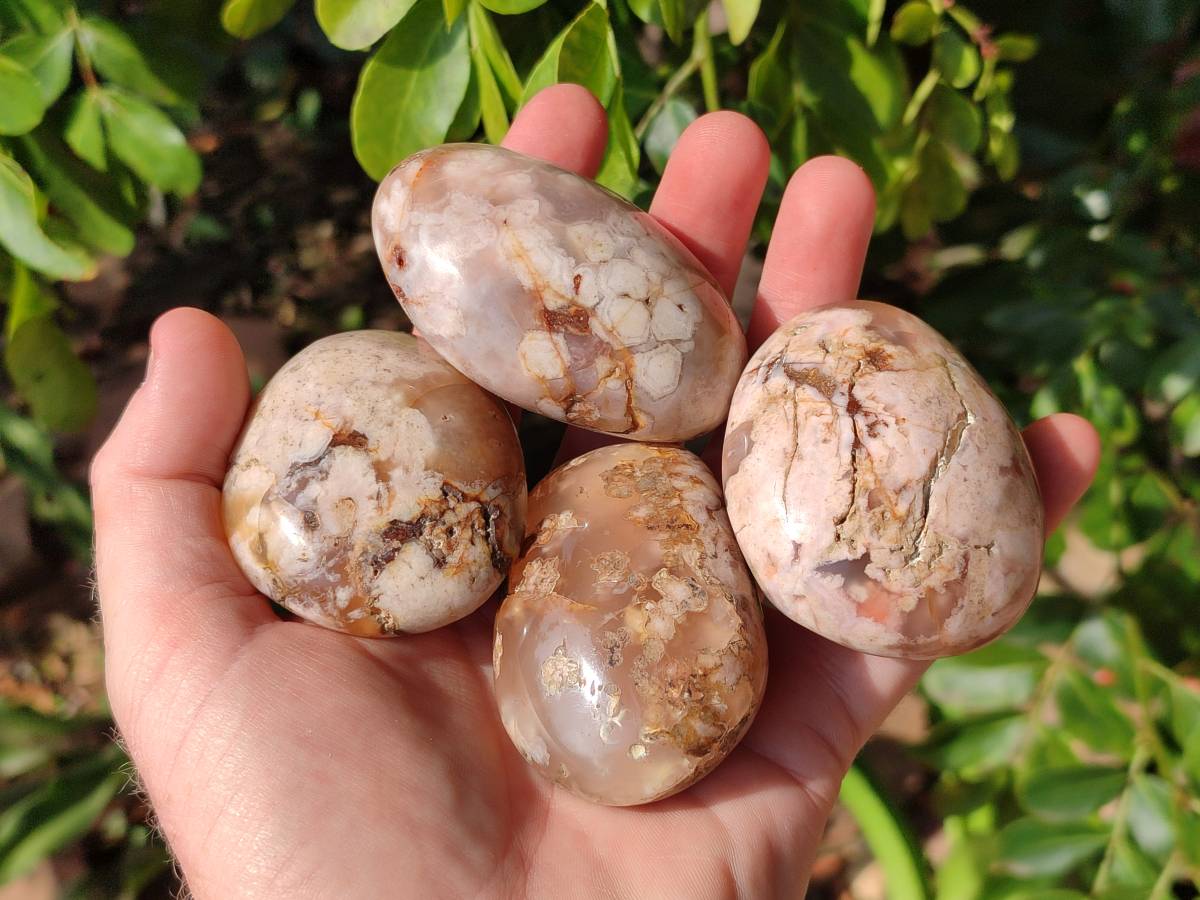 Polished Flower Agate Palm Stones x 12 From Antsahalova, Madagascar - Toprock Gemstones and Minerals 