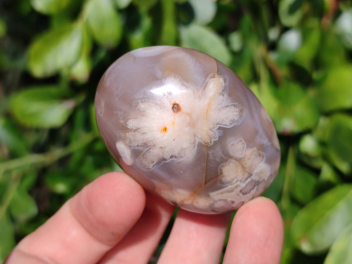 Polished Flower Agate Palm Stones x 12 From Antsahalova, Madagascar - Toprock Gemstones and Minerals 