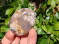 Polished Flower Agate Palm Stones x 12 From Antsahalova, Madagascar