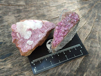 Natural Salrose Cobaltion Dolomite with Malachite Specimens x 12 From Kakanda, Congo