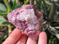 Natural Salrose Cobaltion Dolomite with Malachite Specimens x 12 From Kakanda, Congo