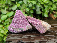 Natural Salrose Cobaltion Dolomite with Malachite Specimens x 12 From Kakanda, Congo