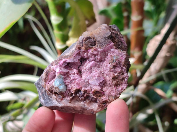 Natural Salrose Cobaltion Dolomite with Malachite Specimens x 12 From Kakanda, Congo