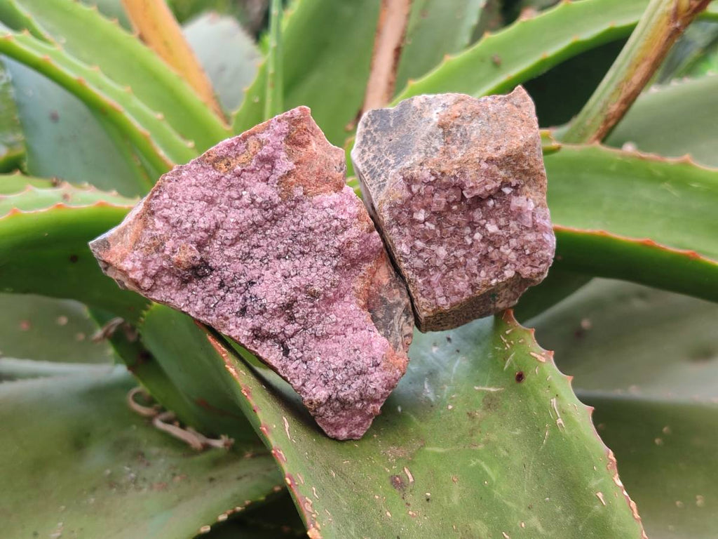 Natural Salrose Cobaltion Dolomite with Malachite Specimens x 12 From Kakanda, Congo - Toprock Gemstones and Minerals 