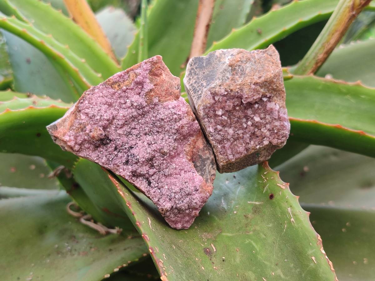 Natural Salrose Cobaltion Dolomite with Malachite Specimens x 12 From Kakanda, Congo - Toprock Gemstones and Minerals 