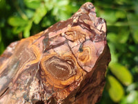 Natural Nguni Jasper Cobbed Specimens x 12 From N.Cape, South Africa
