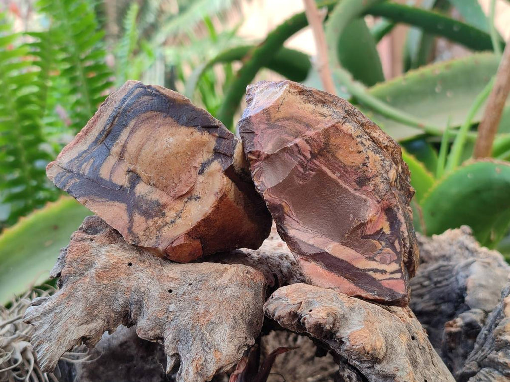 Natural Nguni Jasper Cobbed Specimens x 12 From N.Cape, South Africa - Toprock Gemstones and Minerals 