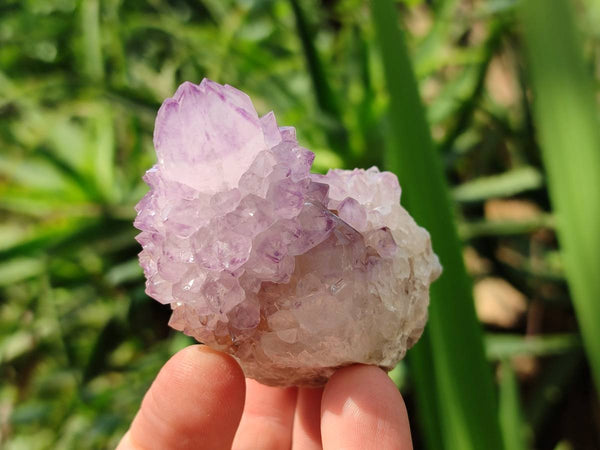 Natural Sunburst Amethyst Spirit Quartz Clusters x 12 From Boekenhouthoek, South Africa