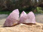 Natural Sunburst Amethyst Spirit Quartz Clusters x 12 From Boekenhouthoek, South Africa - Toprock Gemstones and Minerals 