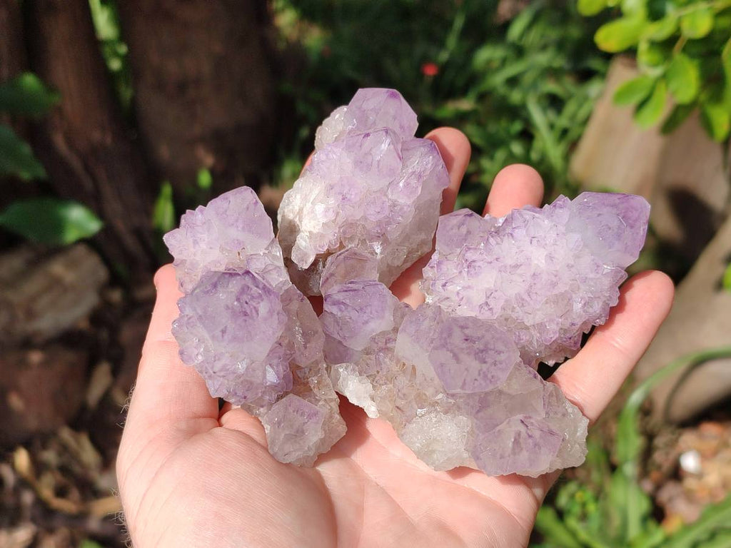 Natural Sunburst Amethyst Spirit Quartz Clusters x 12 From Boekenhouthoek, South Africa - Toprock Gemstones and Minerals 