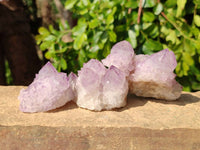 Natural Sunburst Amethyst Spirit Quartz Clusters x 12 From Boekenhouthoek, South Africa