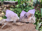 Natural Sunburst Amethyst Spirit Quartz Clusters x 12 From Boekenhouthoek, South Africa - Toprock Gemstones and Minerals 