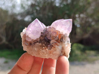 Natural Sunburst Amethyst Spirit Quartz Clusters x 12 From Boekenhouthoek, South Africa