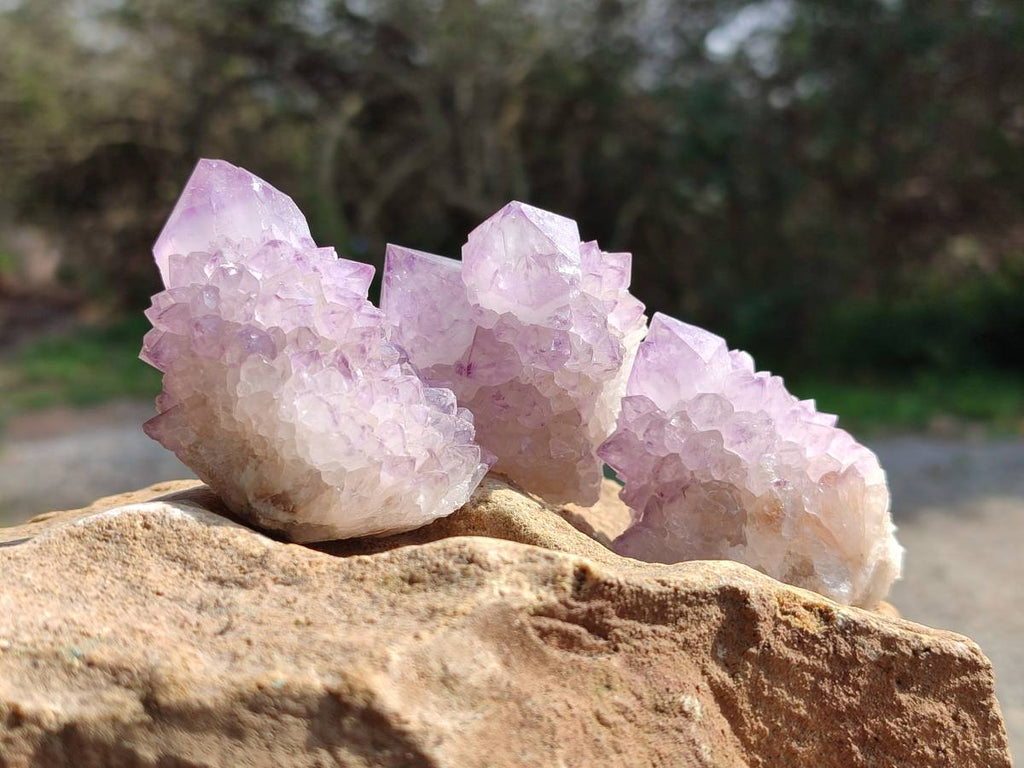 Natural Sunburst Amethyst Spirit Quartz Clusters x 12 From Boekenhouthoek, South Africa - Toprock Gemstones and Minerals 
