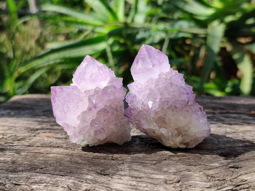 Natural Sunburst Amethyst Spirit Quartz Clusters x 12 From Boekenhouthoek, South Africa - Toprock Gemstones and Minerals 