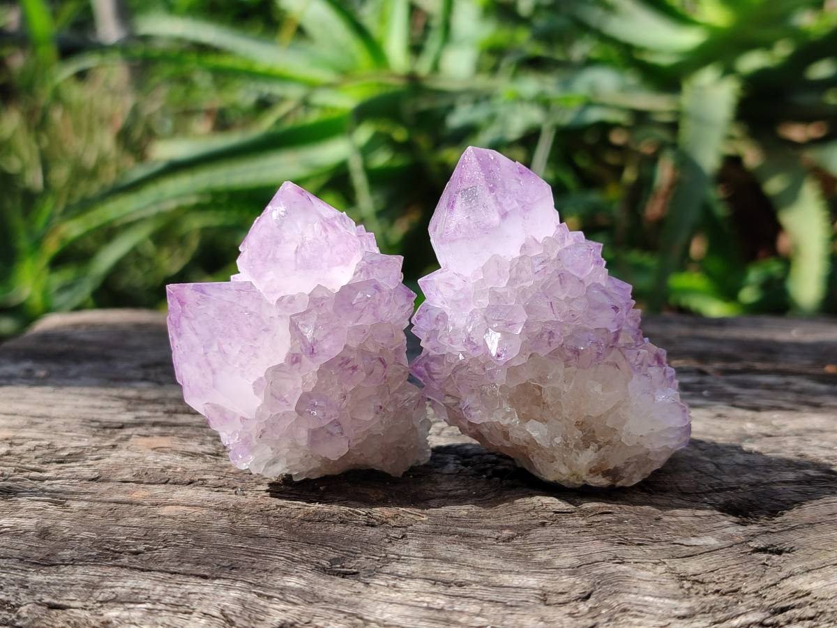 Natural Sunburst Amethyst Spirit Quartz Clusters x 12 From Boekenhouthoek, South Africa - Toprock Gemstones and Minerals 