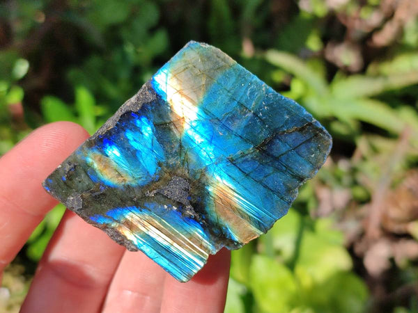 Polished On One Side Labradorite x 24 From Tulear, Madagascar