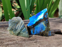 Polished On One Side Labradorite x 24 From Tulear, Madagascar