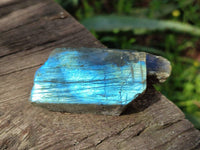 Polished On One Side Labradorite x 24 From Tulear, Madagascar