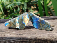 Polished On One Side Labradorite x 24 From Tulear, Madagascar