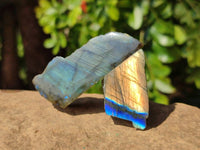 Polished On One Side Labradorite x 24 From Tulear, Madagascar