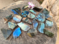 Polished On One Side Labradorite x 24 From Tulear, Madagascar