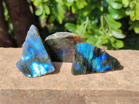 Polished On One Side Labradorite x 24 From Tulear, Madagascar
