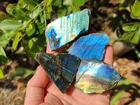 Polished On One Side Labradorite x 24 From Tulear, Madagascar